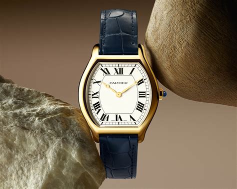 cartier tortue replica watch|cartier new large panthere 2024.